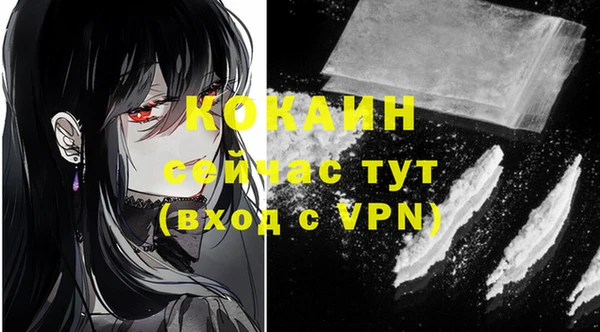 стаф Заводоуковск