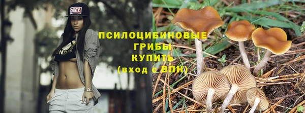 кристаллы Чекалин