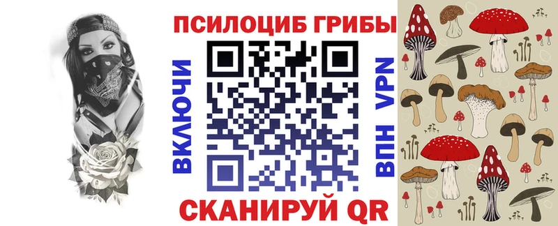 Галлюциногенные грибы Psilocybine cubensis  Купить закладки  Петров Вал 